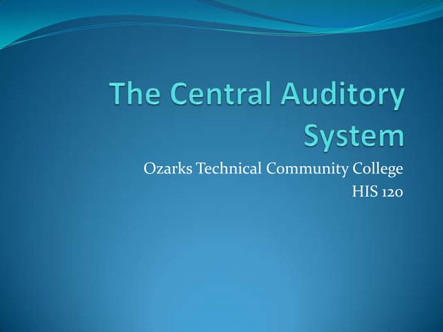 The central auditory system