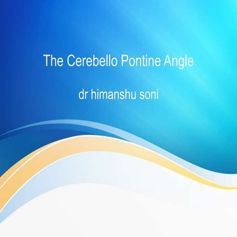 The cerebello pontine angle