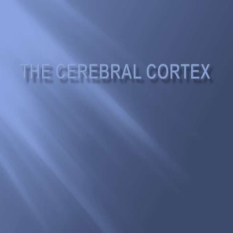 The Cerebral Cortex