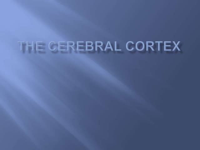 The Cerebral Cortex