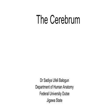 The cerebrum_084338.pdf for neuroanatomy lectures
