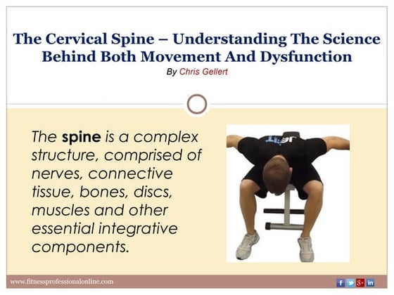 Back pain and sleep positions the real score | PDF