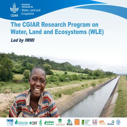 The cgiar research program on water, land and ecosystems (wle)