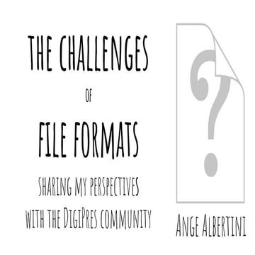 The challenges of file formats