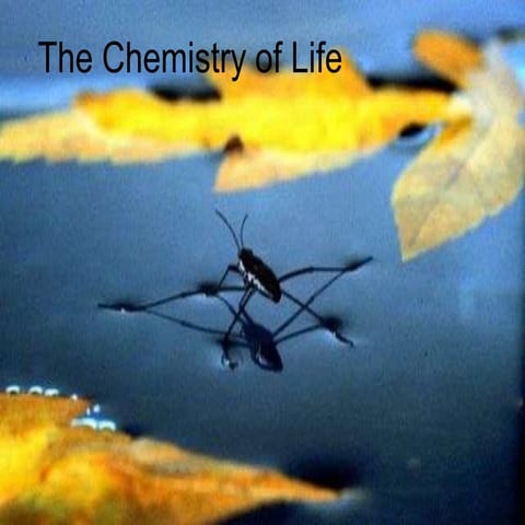 The Chemistry Of Life