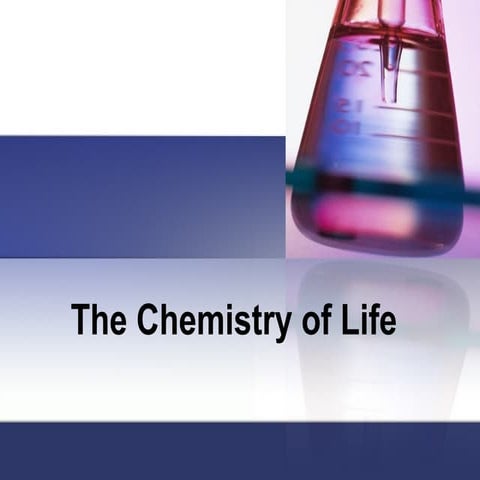 The chemistry of life blackboard