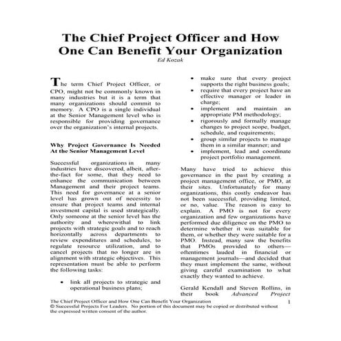 The Chief Project Officer And How One Can Benefit Your Organization