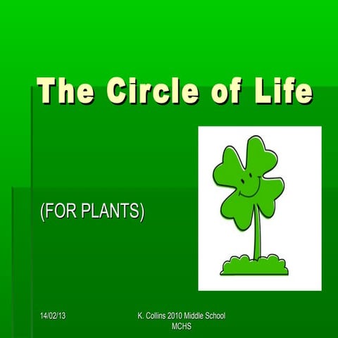 The circle of life  seeds and germination