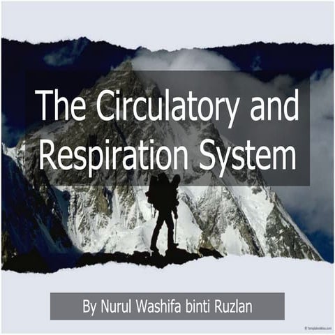 Circulatory and respiratory system changes of a mountain | PPTX