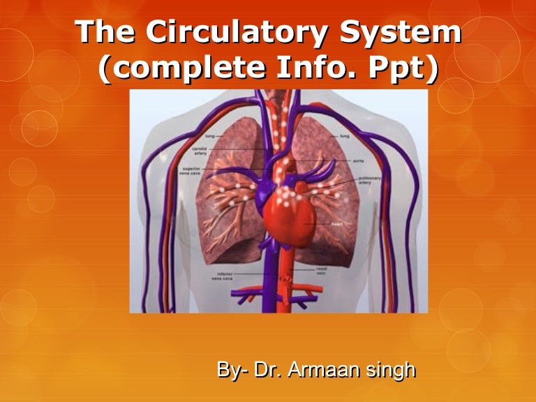 The circulatory system complete Info ppt