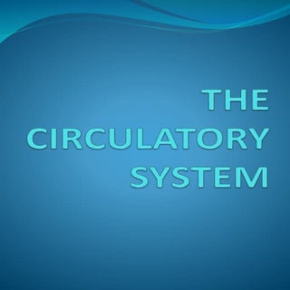 The circulatory system