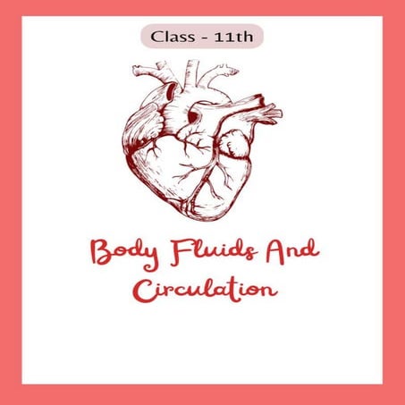 Body Fluids And Circulation Class 11th