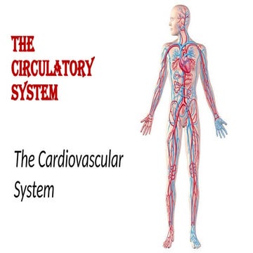 The Circulatory System grade 9 science.pptx