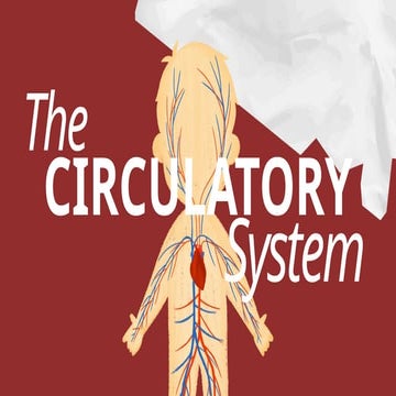The Circulatory System_20250912_073634_0000.pptx