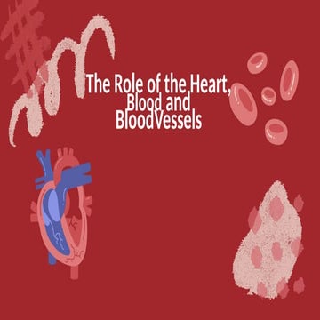 The Circulatory System Education Presentation in 0 Hand Drawn Lightly Textured Style.pptx
