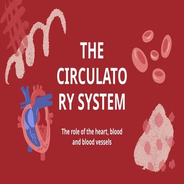 The Circulatory System Education Presentation in 0 Hand Drawn Lightly Texture...
