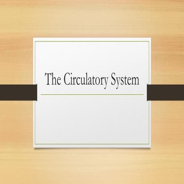 The Circulatory System pawan eureka.docx 1.pdf