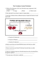 Circulatory system worksheet