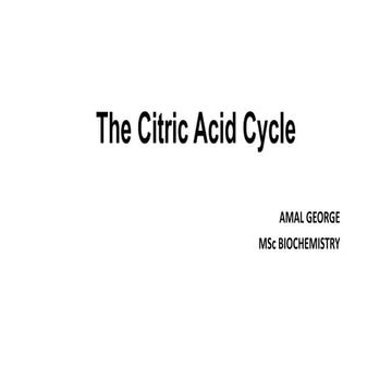 The citric acid cycle