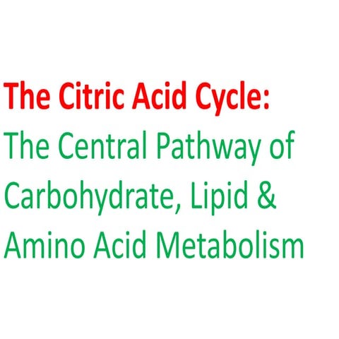 The citric acid cycle