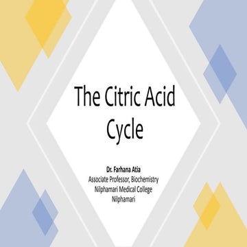 The citric acid cycle