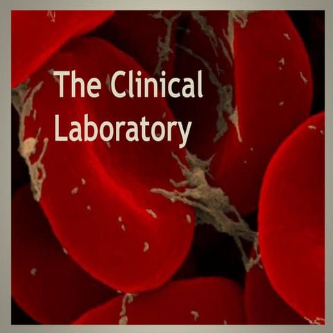 The clinical laboratory