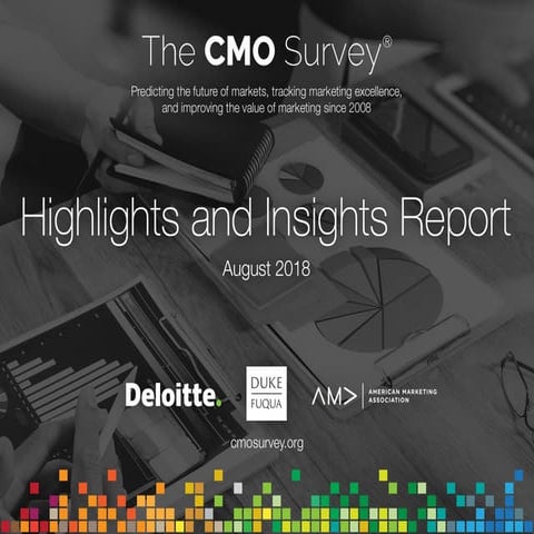 The CMO Survey - Highlights and Insights Report - August 2018