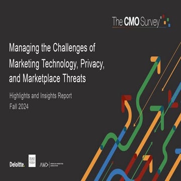 The CMO Survey - Highlights and Insights Report - Fall 2024
