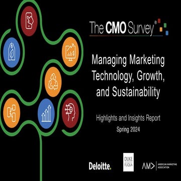 The CMO Survey - Highlights and Insights Report - Spring 2024