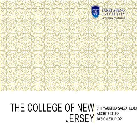 The college of new jersey