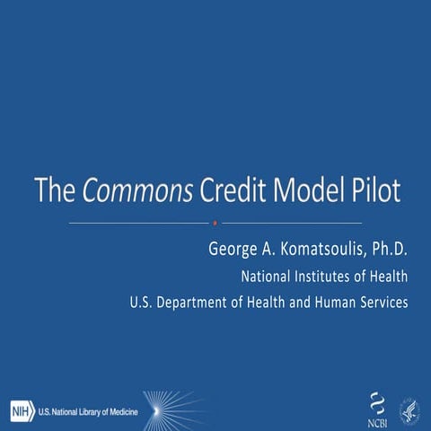 The commons credit model pilot