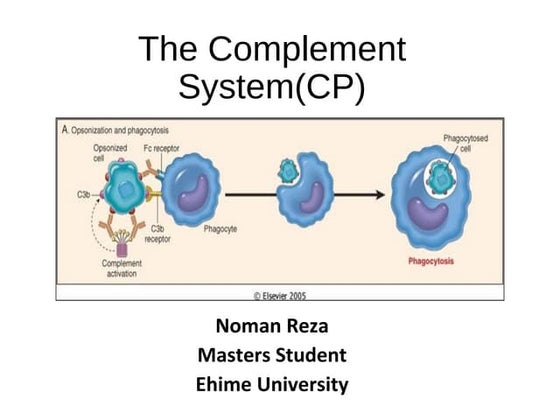 Complement system | PPT