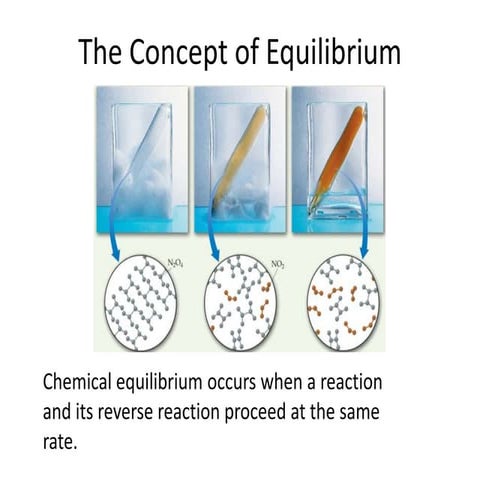 The concept of equilibrium
