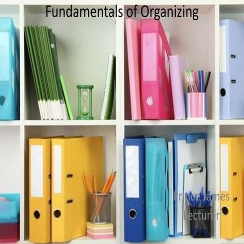 The Concept of Organizing.pptx.concept of organizing