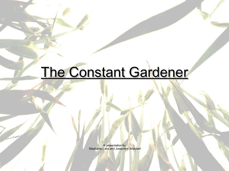 the constant gardener movie overview ethical issues the constant gardener movie overview ethical issues