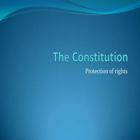 The constitution   rights essay