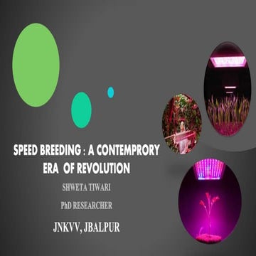 The contemporary world has increases the gear with