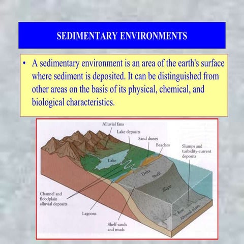 The continental slope and continental rise.ppt