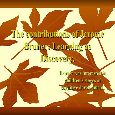 The Contributions of Jerome Bruner