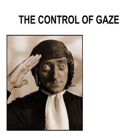 The control of gaze