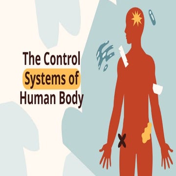 The control systems in the Human Body.pptx
