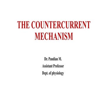 THE COUNTERCURRENT.pptx