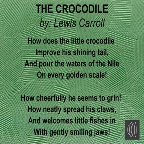 The Crocodile