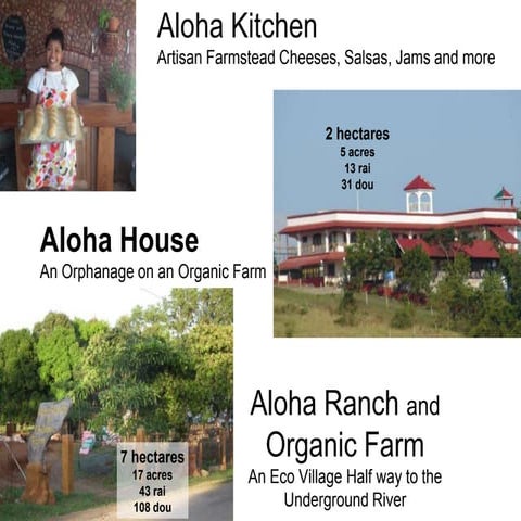 Culinary Internships