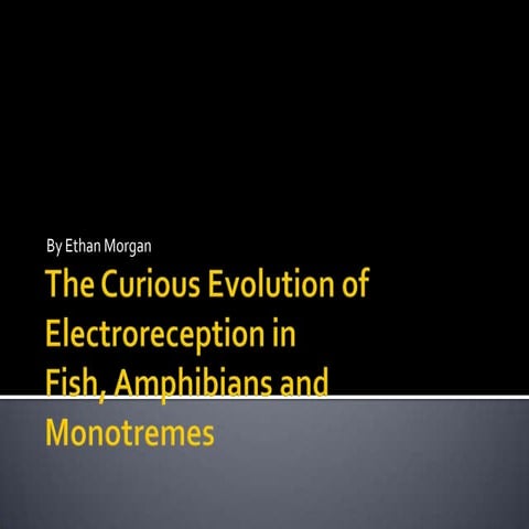 The curious evolution of electroreception in fish, amphibians, and monotremes...