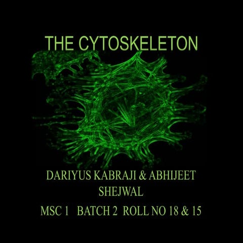 The Cytoskeleton- An overview