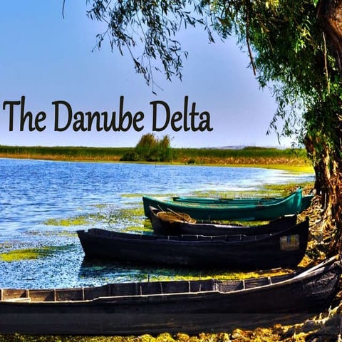 Danube Delta | ODP