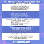 The Data science process.pdf
