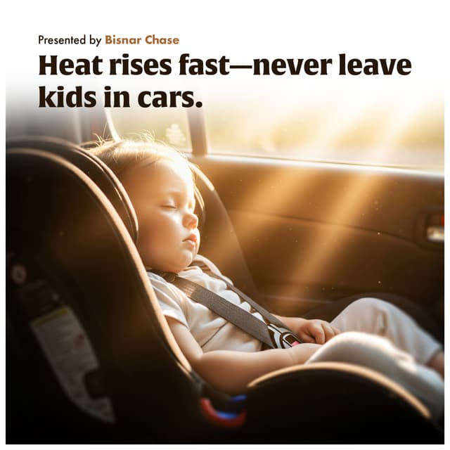 The Deadly Risk of Leaving Kids in Cars.