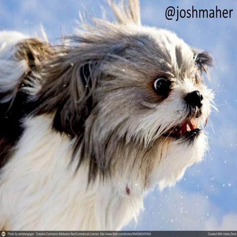 The Definition Of Running